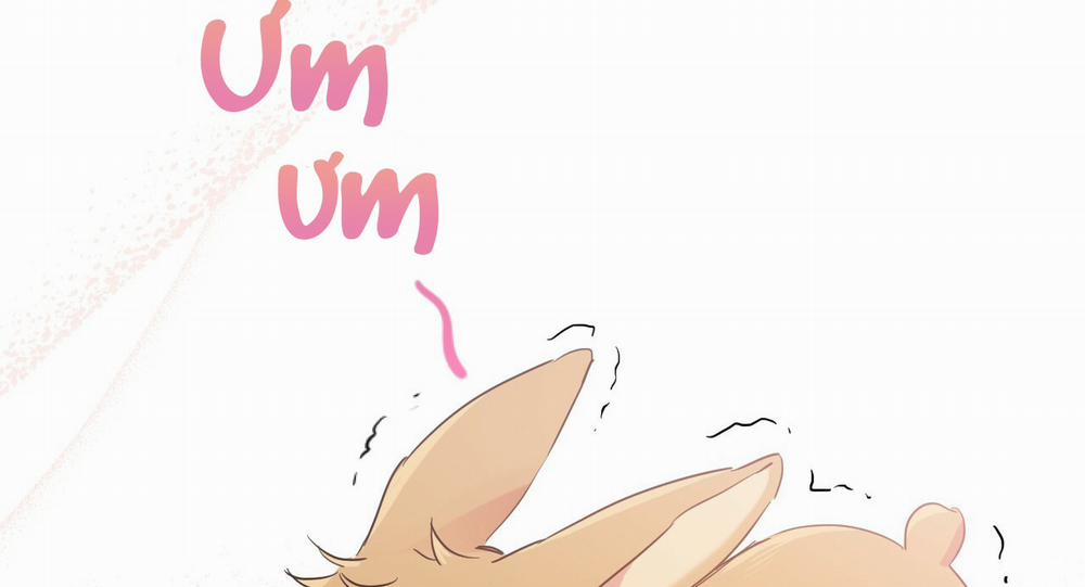 Những Chú Thỏ Của Hapypy 11 trang 12