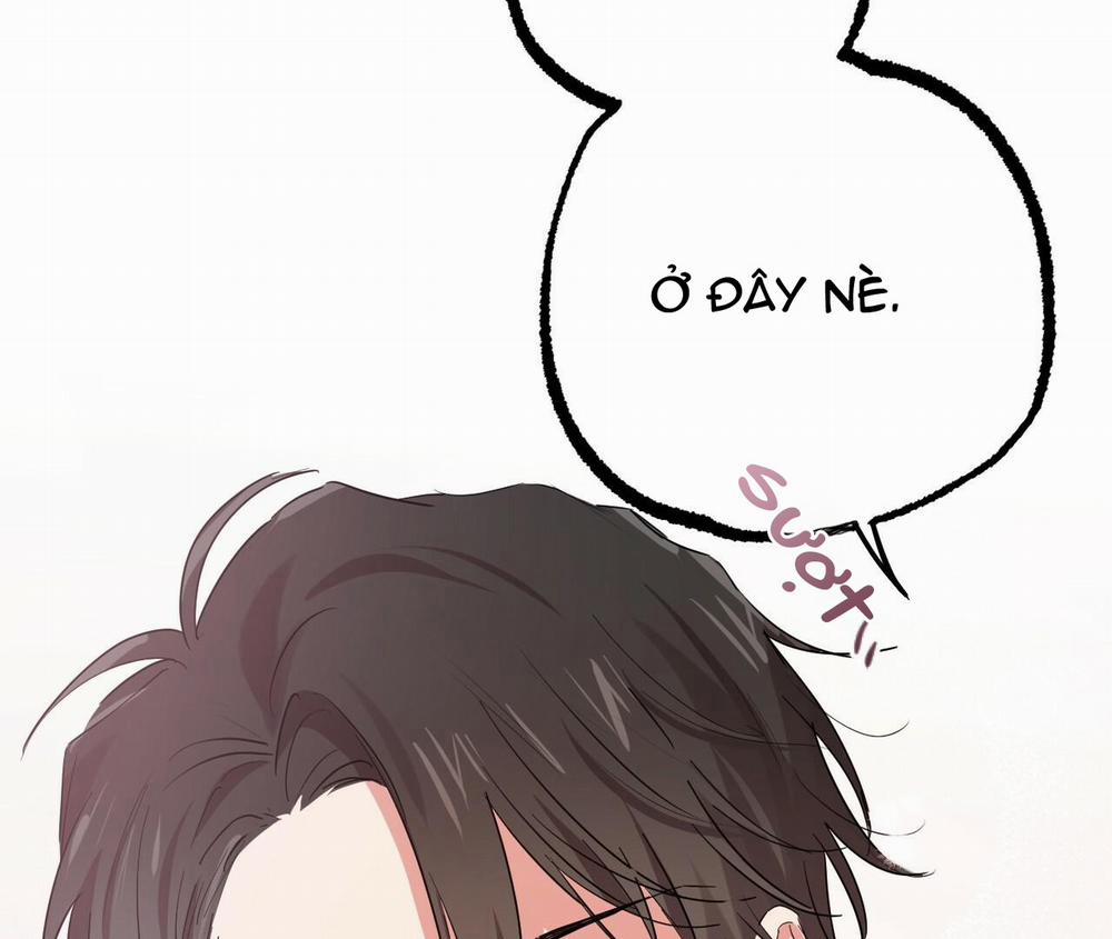 Những Chú Thỏ Của Hapypy 11 trang 161