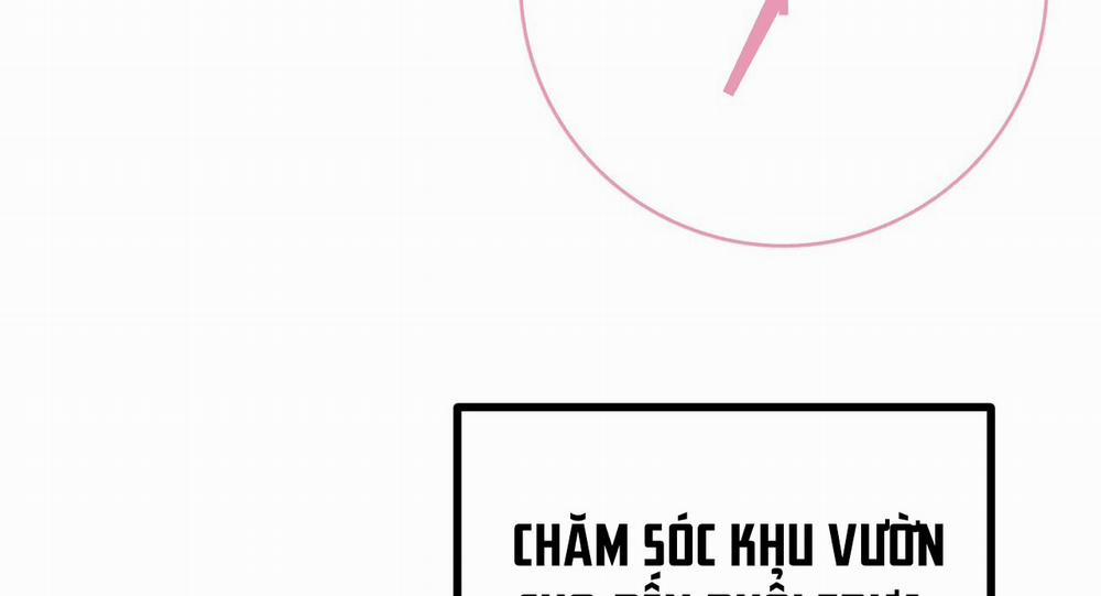 Những Chú Thỏ Của Hapypy 11 trang 18