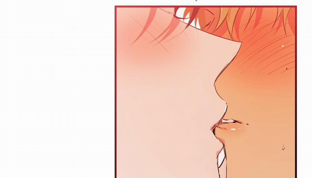 Những Chú Thỏ Của Hapypy 11 trang 180