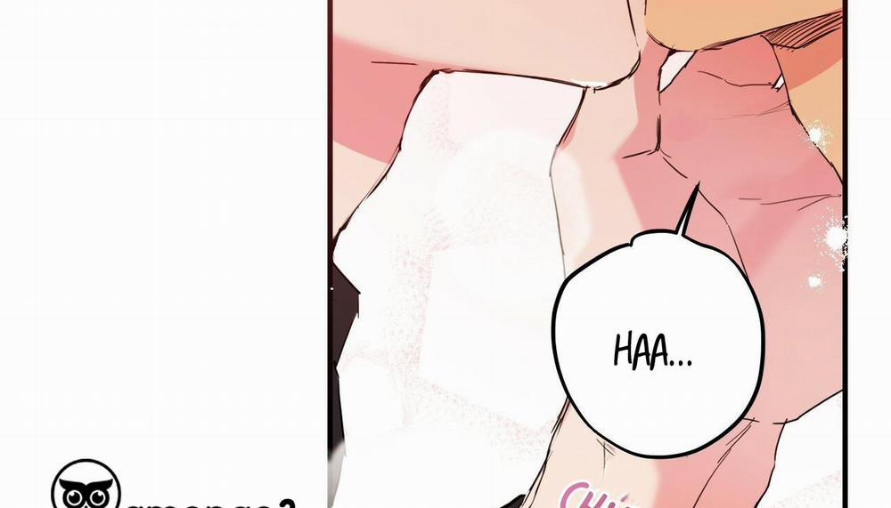 Những Chú Thỏ Của Hapypy 11 trang 181