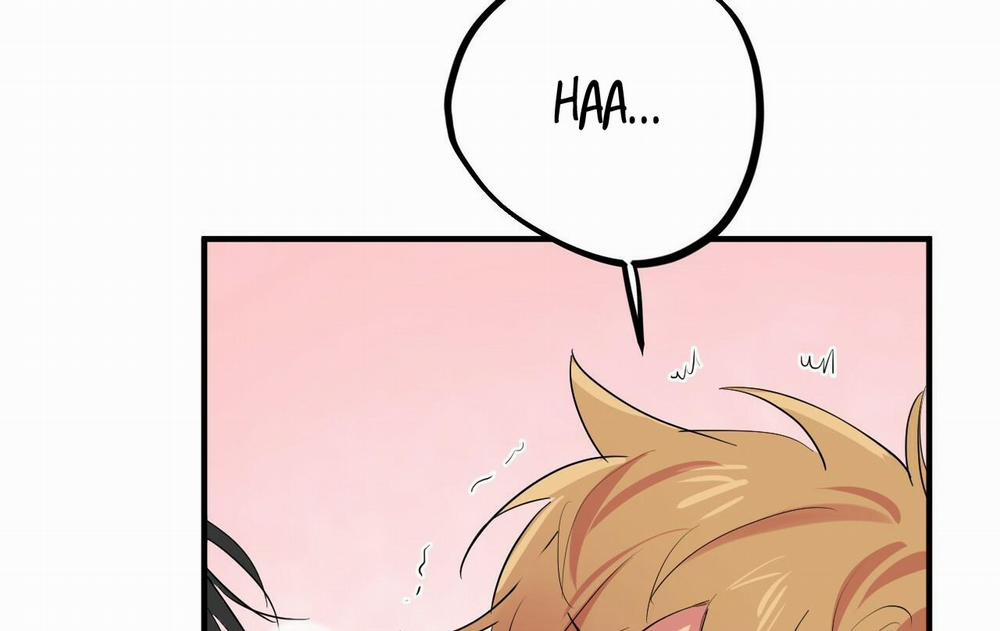 Những Chú Thỏ Của Hapypy 11 trang 205