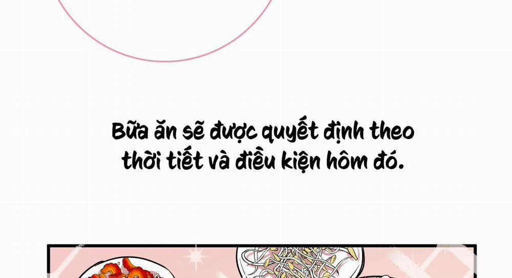 Những Chú Thỏ Của Hapypy 11 trang 22