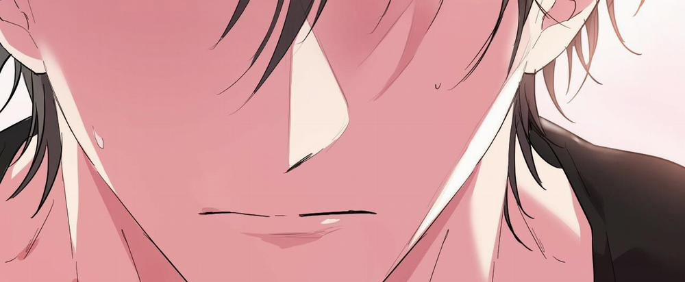 Những Chú Thỏ Của Hapypy 11 trang 230