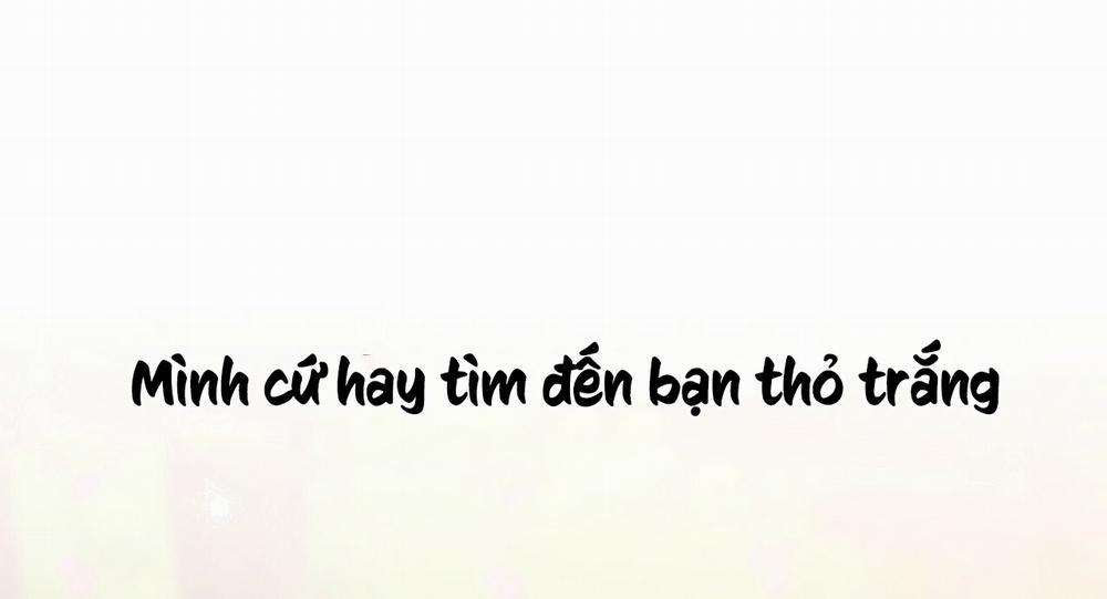 Những Chú Thỏ Của Hapypy 11 trang 51