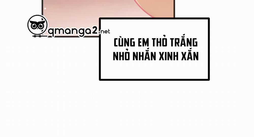 Những Chú Thỏ Của Hapypy 11 trang 7