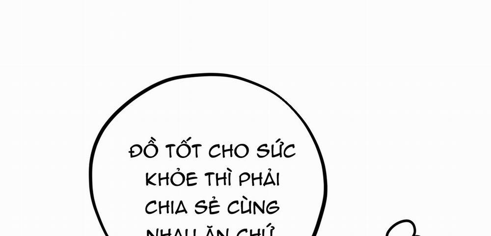 Những Chú Thỏ Của Hapypy 12 trang 144