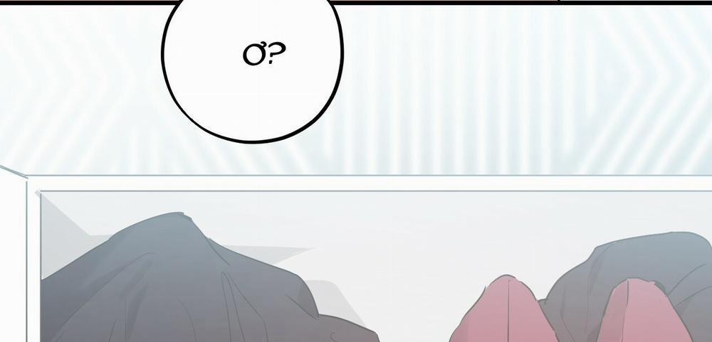 Những Chú Thỏ Của Hapypy 12 trang 16