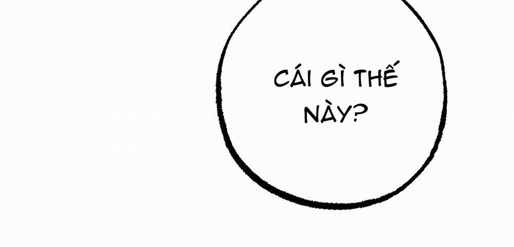 Những Chú Thỏ Của Hapypy 12 trang 21