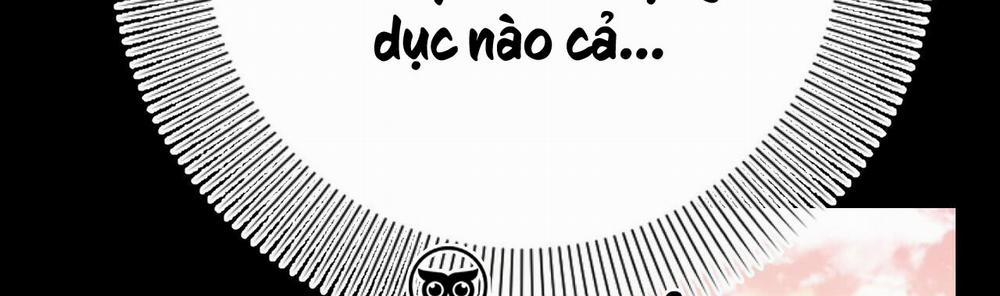 Những Chú Thỏ Của Hapypy 12 trang 214