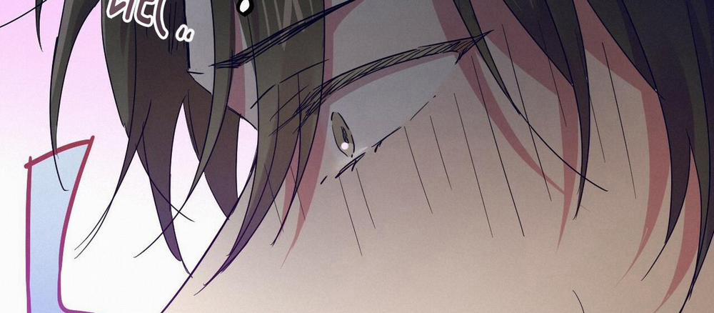 Những Chú Thỏ Của Hapypy 12 trang 266