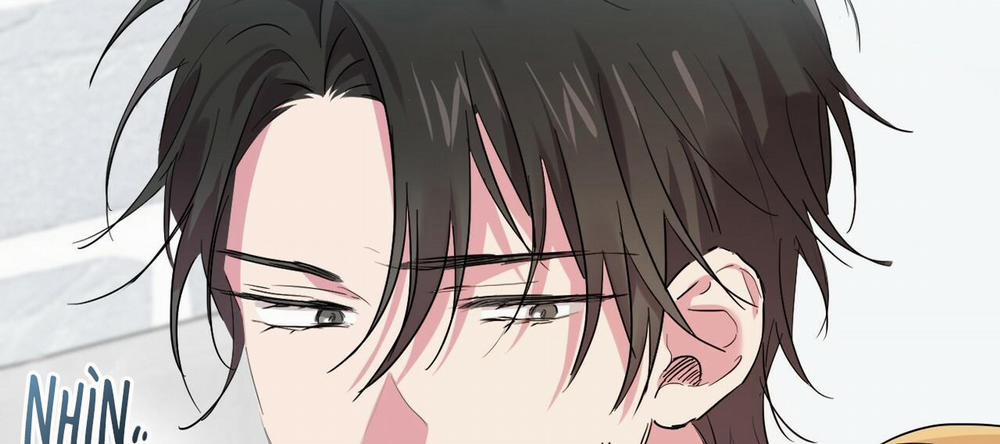 Những Chú Thỏ Của Hapypy 12 trang 312