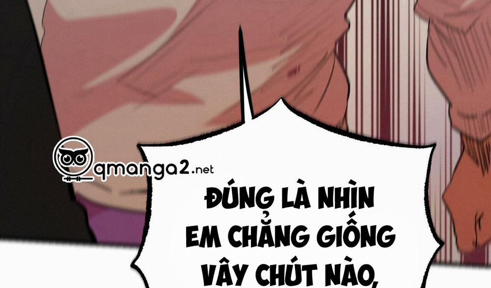 Những Chú Thỏ Của Hapypy 12 trang 345