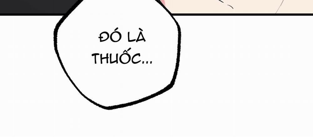 Những Chú Thỏ Của Hapypy 12 trang 51