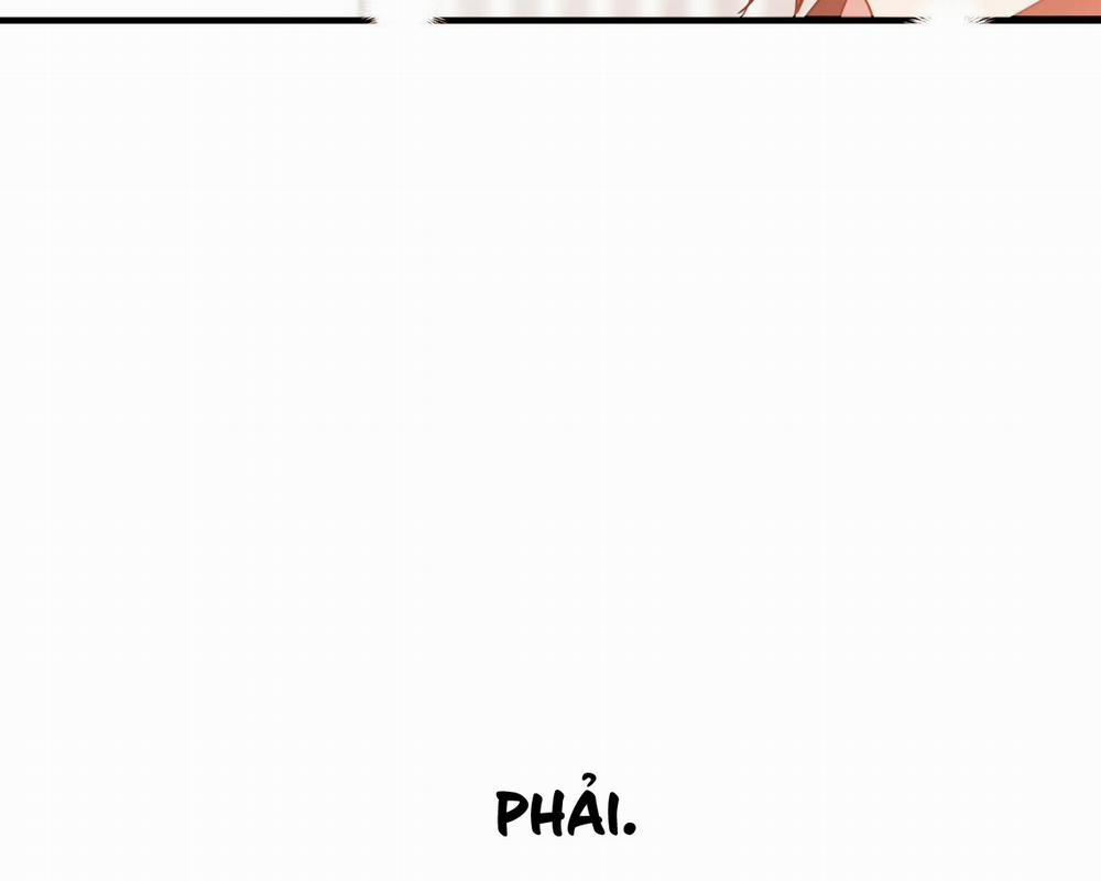 Những Chú Thỏ Của Hapypy 13 trang 130