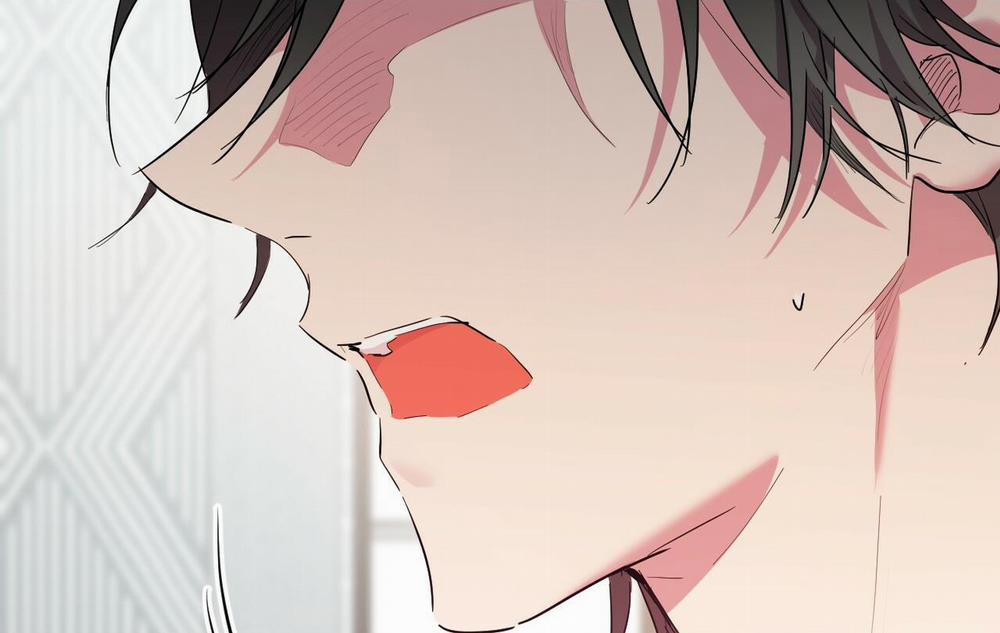 Những Chú Thỏ Của Hapypy 13 trang 155