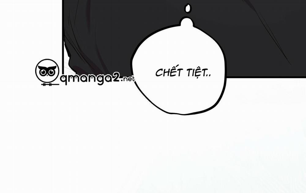 Những Chú Thỏ Của Hapypy 13 trang 168