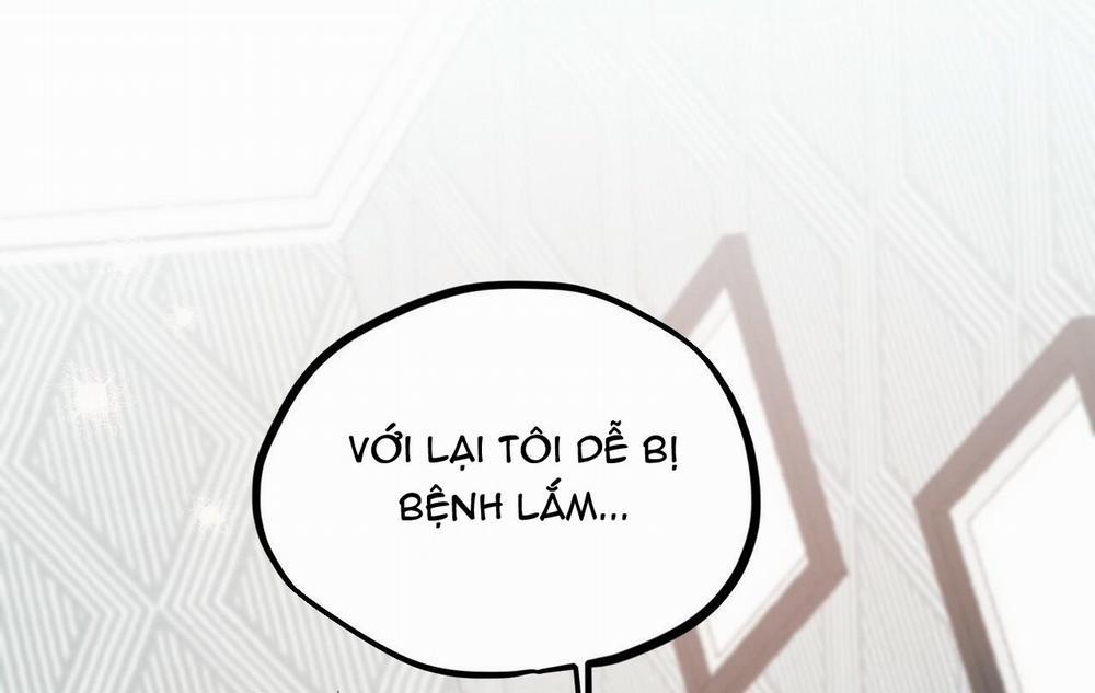 Những Chú Thỏ Của Hapypy 13 trang 169