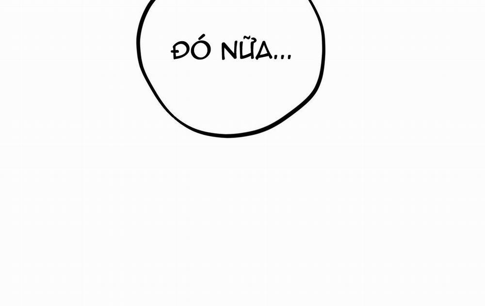 Những Chú Thỏ Của Hapypy 13 trang 182