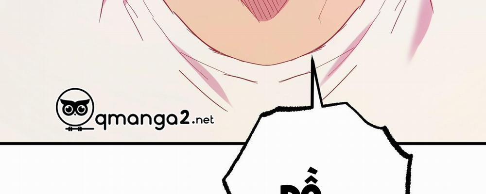 Những Chú Thỏ Của Hapypy 13 trang 19