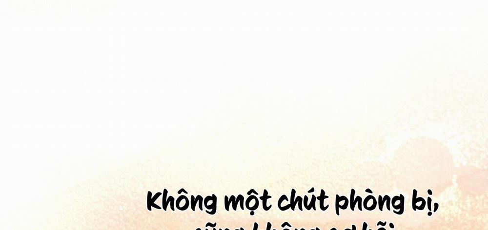 Những Chú Thỏ Của Hapypy 13 trang 245