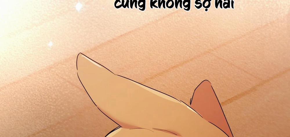 Những Chú Thỏ Của Hapypy 13 trang 246