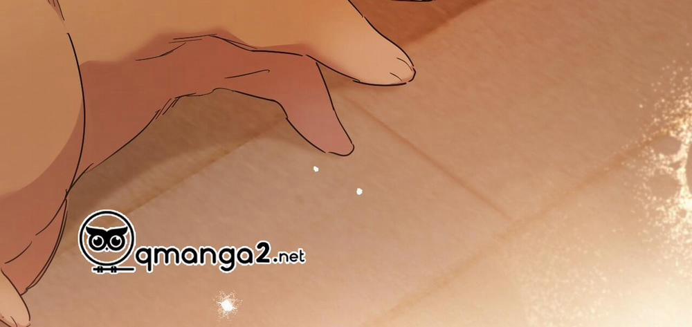 Những Chú Thỏ Của Hapypy 13 trang 248