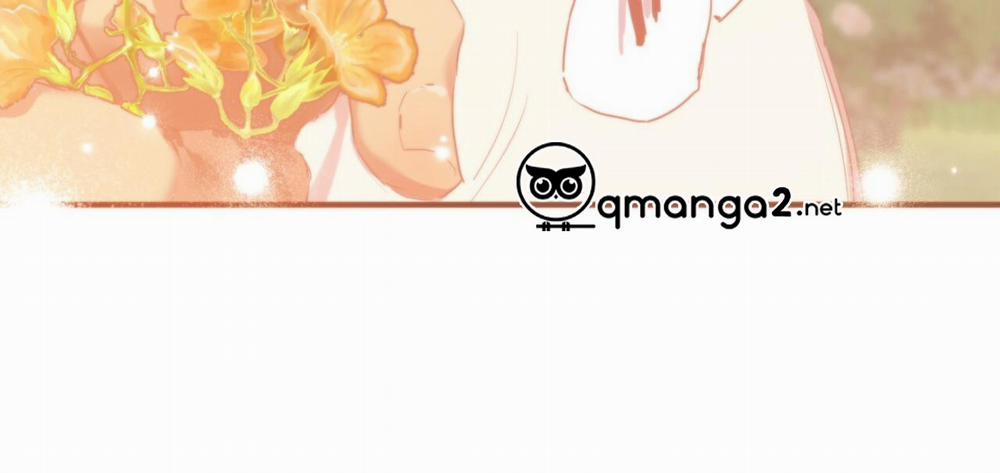 Những Chú Thỏ Của Hapypy 13 trang 253