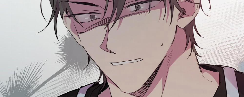 Những Chú Thỏ Của Hapypy 13 trang 4