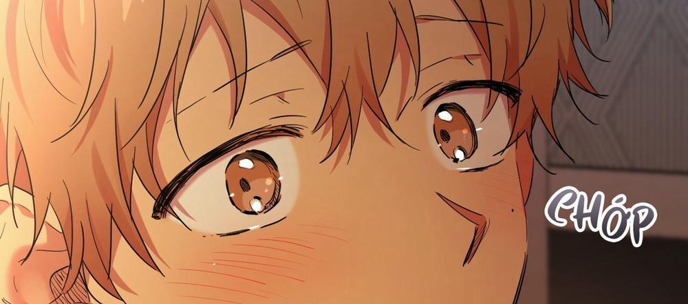 Những Chú Thỏ Của Hapypy 14 trang 104