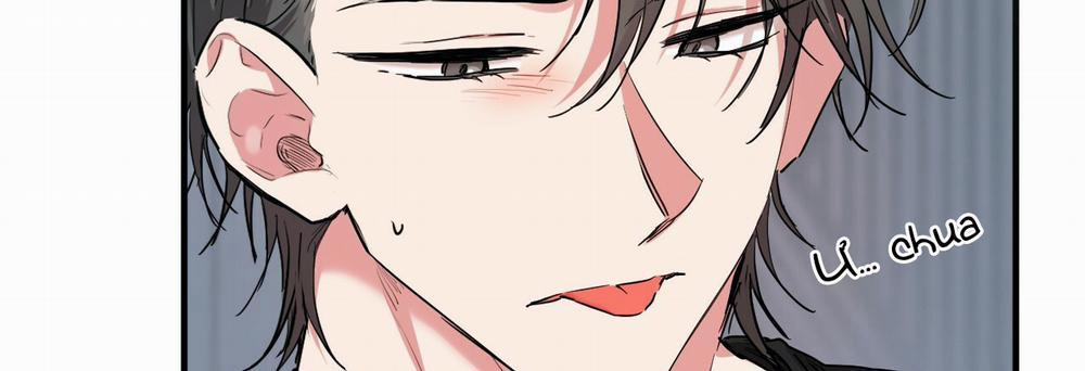 Những Chú Thỏ Của Hapypy 14 trang 160