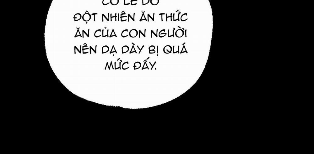 Những Chú Thỏ Của Hapypy 14 trang 209