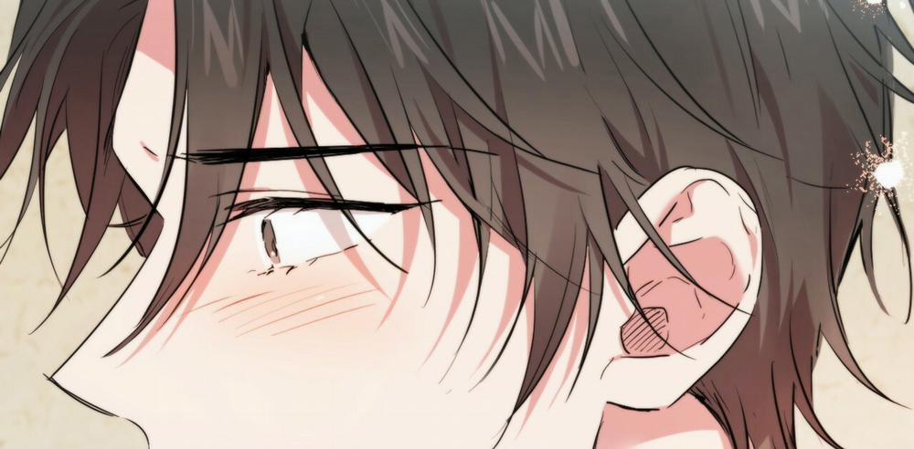 Những Chú Thỏ Của Hapypy 14 trang 251