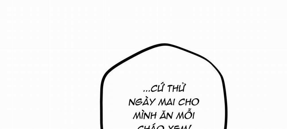 Những Chú Thỏ Của Hapypy 14 trang 267