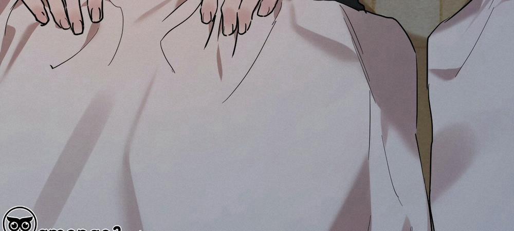 Những Chú Thỏ Của Hapypy 14 trang 271