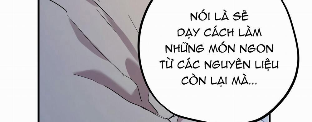 Những Chú Thỏ Của Hapypy 14 trang 288