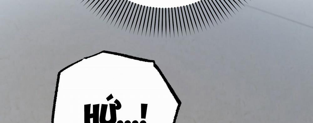 Những Chú Thỏ Của Hapypy 14 trang 292