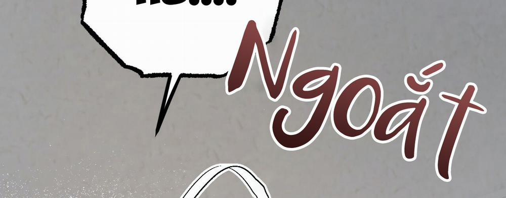 Những Chú Thỏ Của Hapypy 14 trang 293