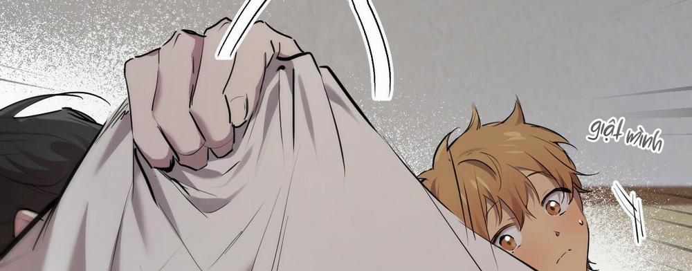 Những Chú Thỏ Của Hapypy 14 trang 294