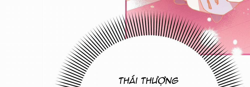 Những Chú Thỏ Của Hapypy 14 trang 339