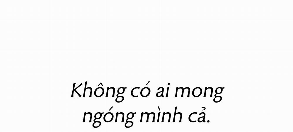 Những Chú Thỏ Của Hapypy 14 trang 368