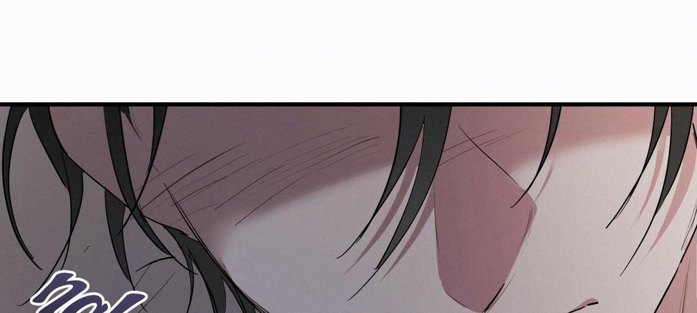 Những Chú Thỏ Của Hapypy 14 trang 371