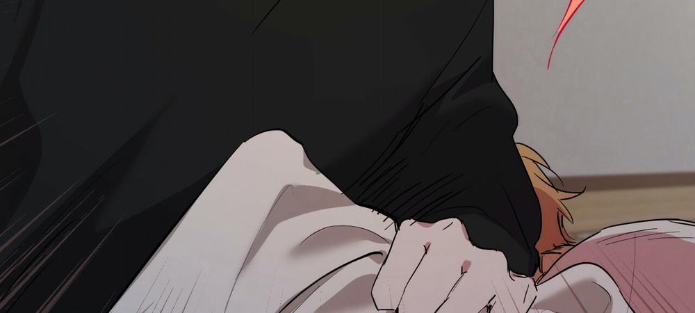 Những Chú Thỏ Của Hapypy 14 trang 376