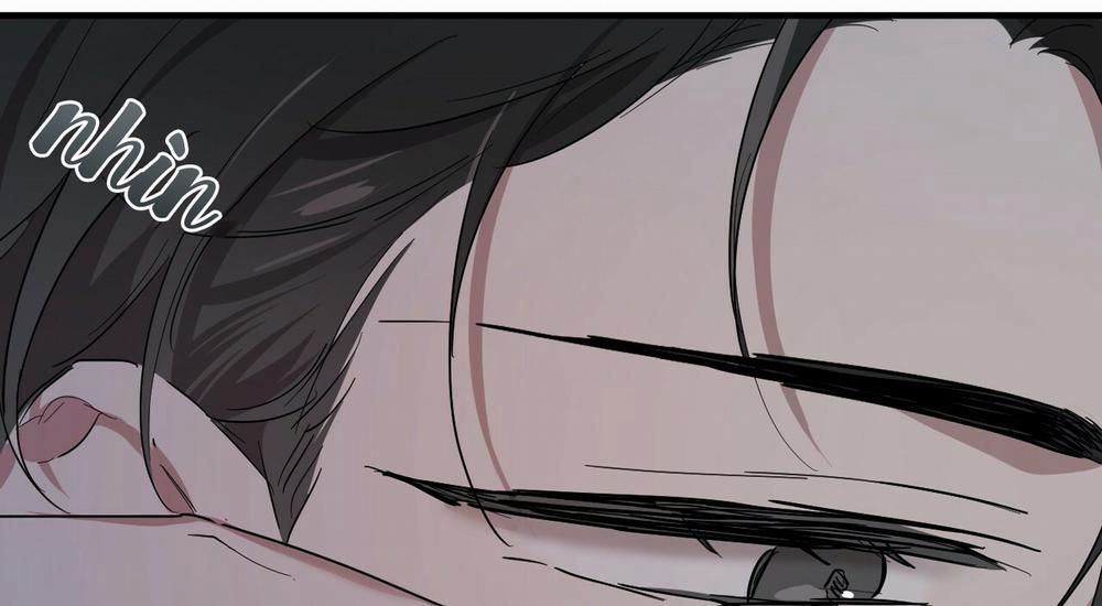 Những Chú Thỏ Của Hapypy 14 trang 387