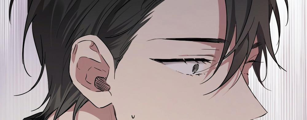 Những Chú Thỏ Của Hapypy 14 trang 407