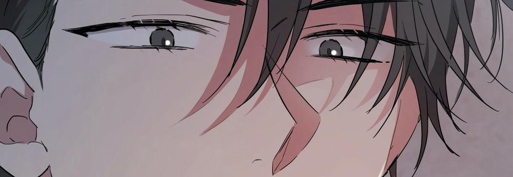 Những Chú Thỏ Của Hapypy 14 trang 425