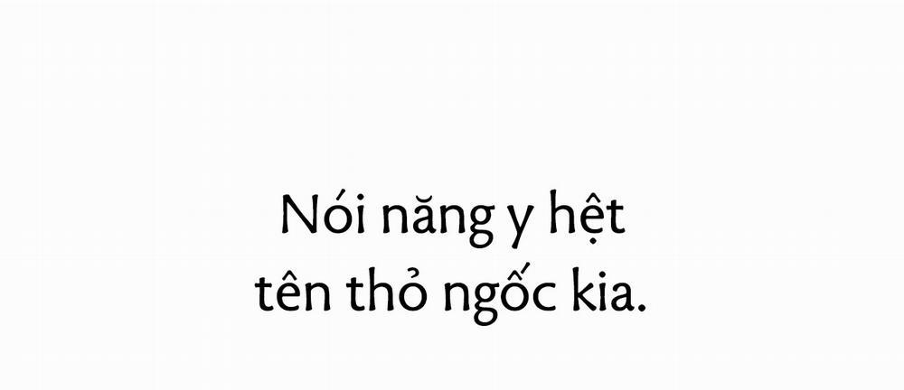 Những Chú Thỏ Của Hapypy 14 trang 61