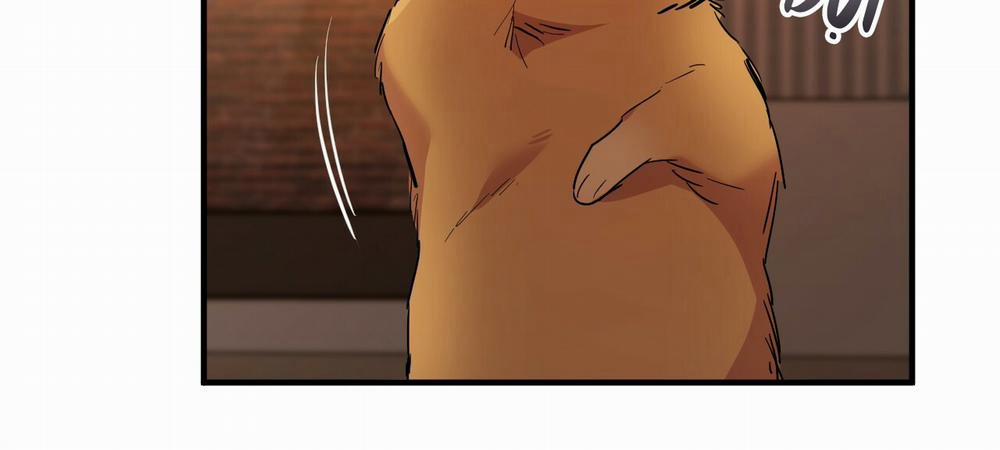 Những Chú Thỏ Của Hapypy 14 trang 69