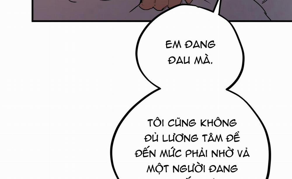 Những Chú Thỏ Của Hapypy 15 trang 13