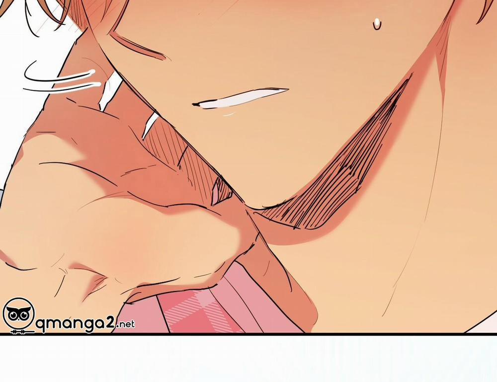 Những Chú Thỏ Của Hapypy 15 trang 137